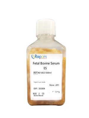 RE1002   胚胎干细胞胎牛血清/ES  Fetal Bovine Serum