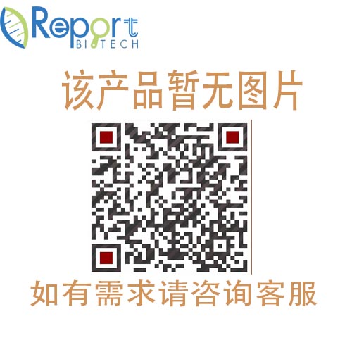 RC0240  DL-色氨酸【54-12-6】DL-Tryptophan