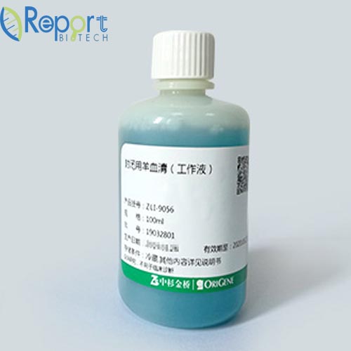 ReportBio RS0056 免疫组化封闭用正常羊血清（工作液）