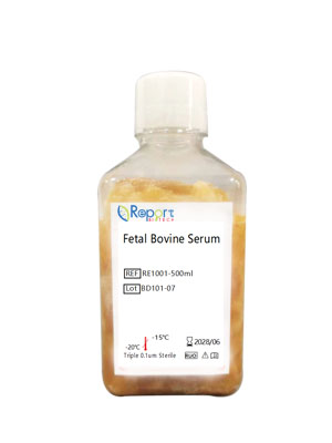  RE1001  胎牛血清 Fetal Bovine Serum（FBS）